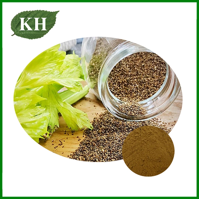 Celery Seed Extract Powder